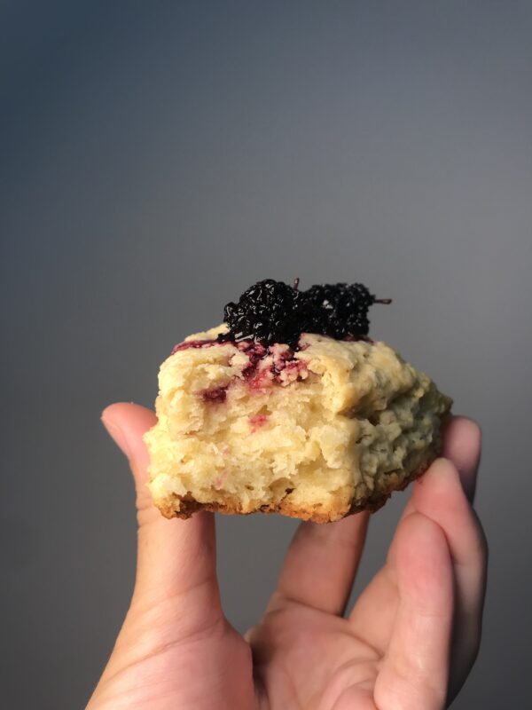 Scone